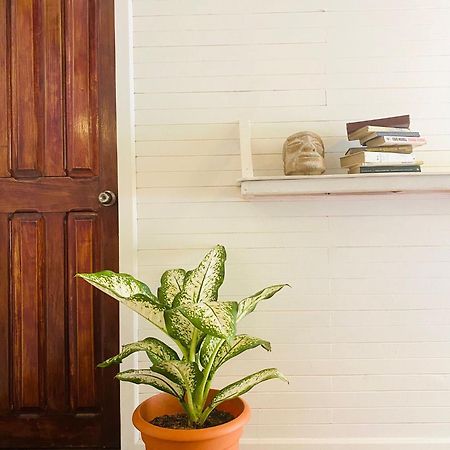Amimodobeachrooms Puerto Viejo de Talamanca 외부 사진