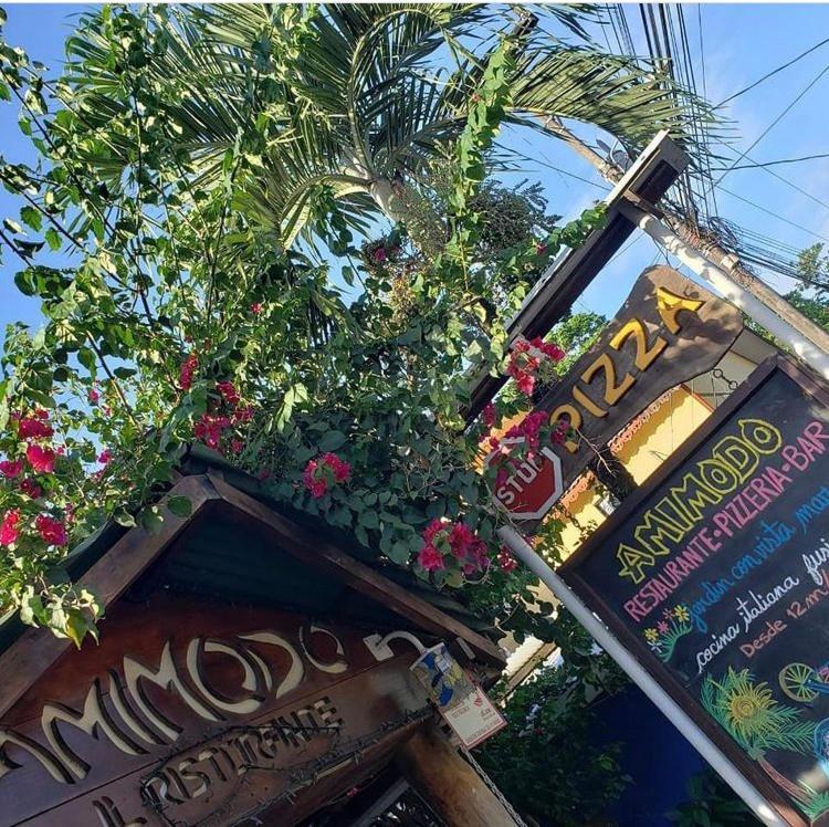 Amimodobeachrooms Puerto Viejo de Talamanca 외부 사진
