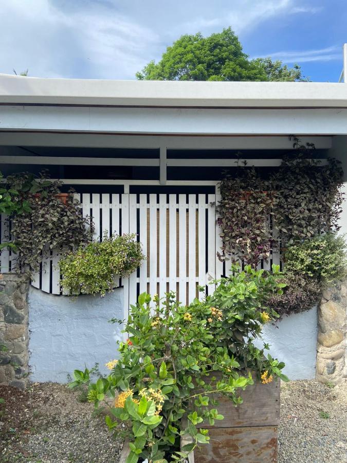 Amimodobeachrooms Puerto Viejo de Talamanca 외부 사진