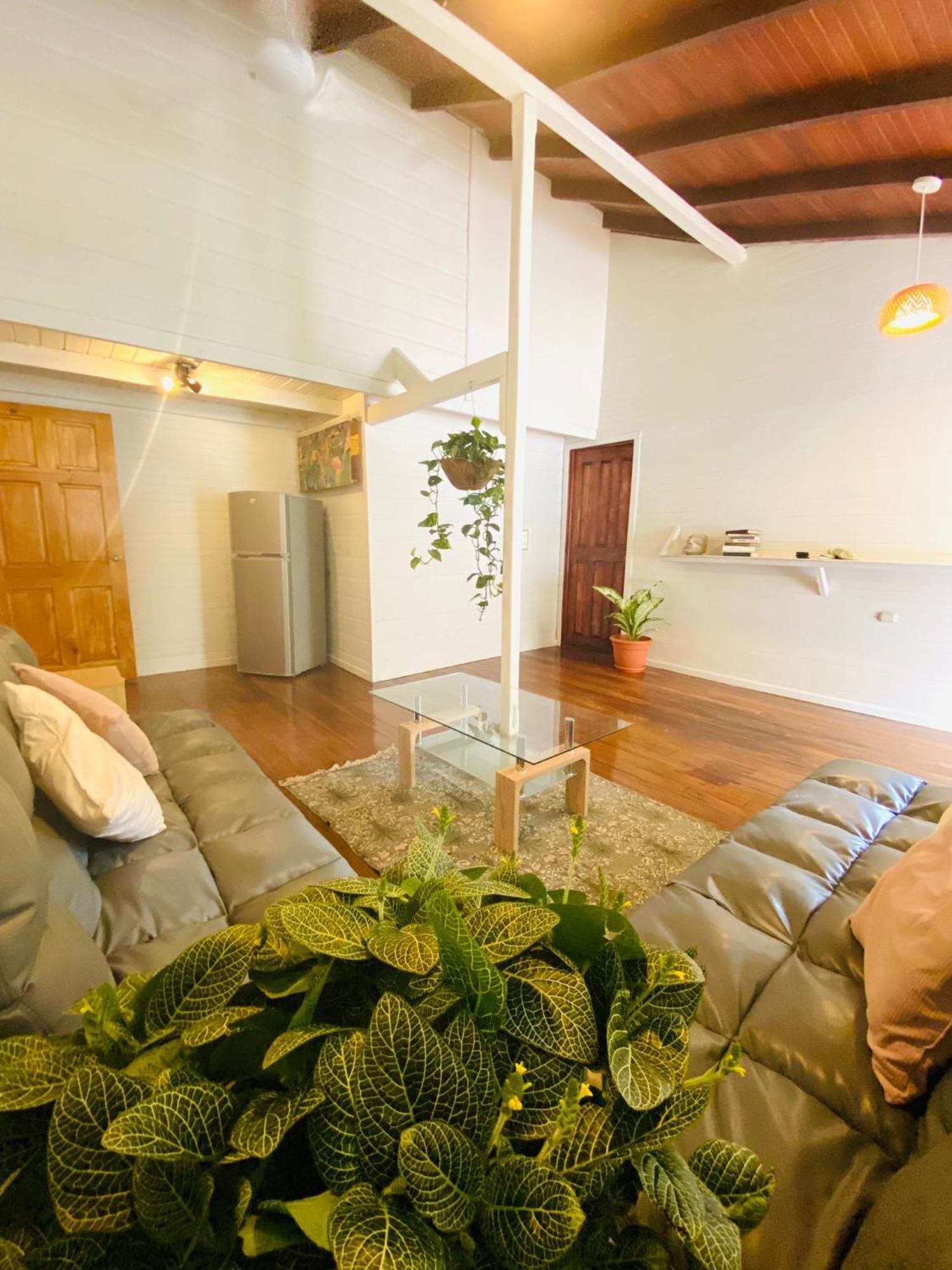 Amimodobeachrooms Puerto Viejo de Talamanca 외부 사진