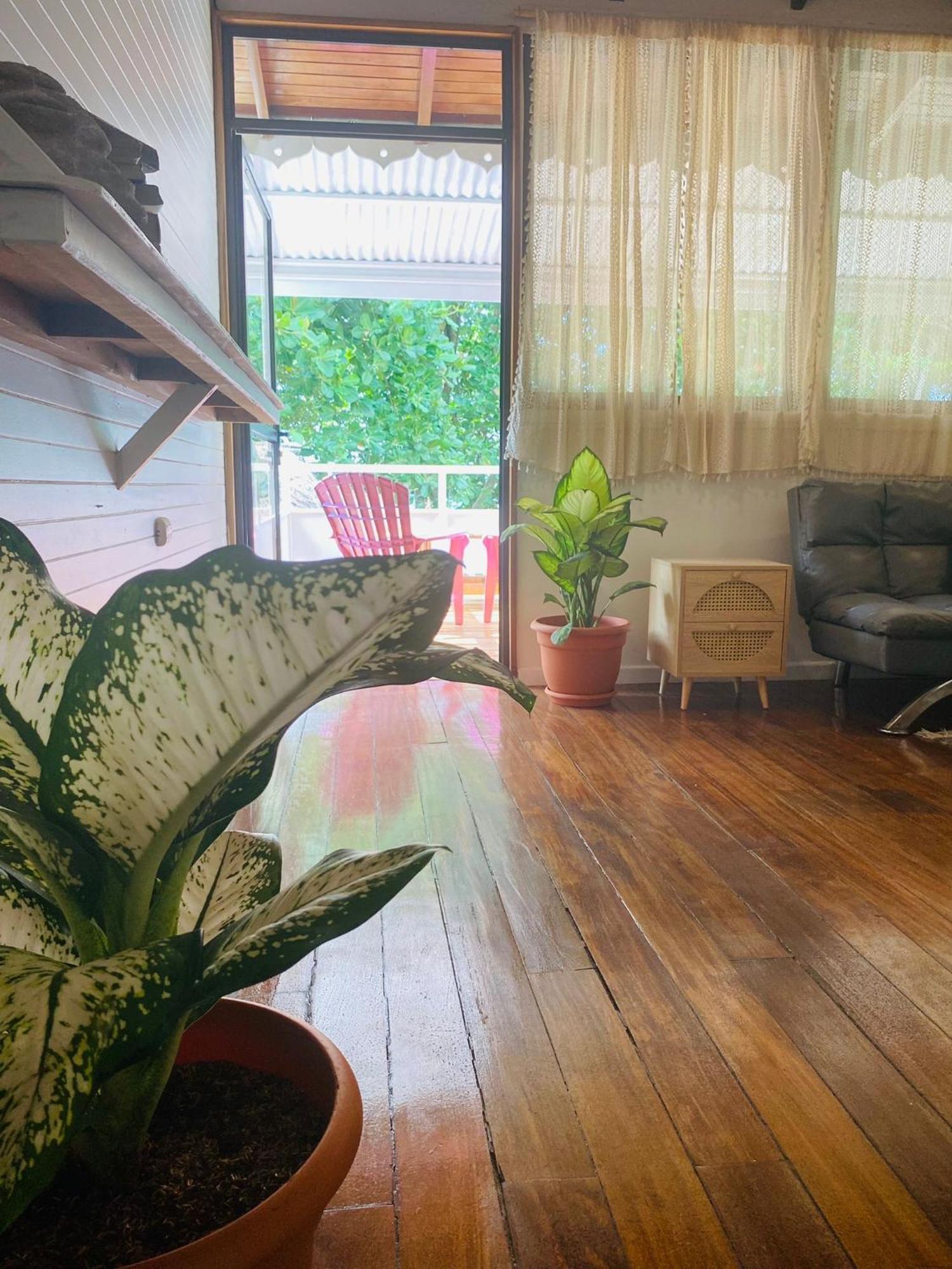 Amimodobeachrooms Puerto Viejo de Talamanca 외부 사진